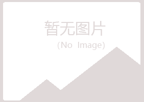 偃师冷安造纸有限公司